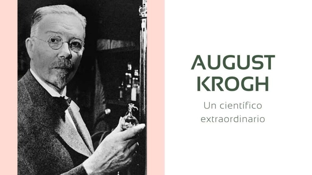 August Krogh, un científico extraordinario.