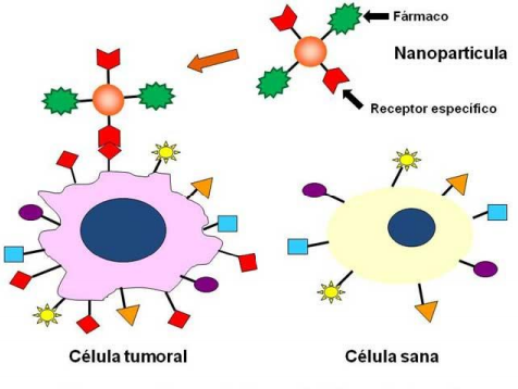 Nanomedicina. Esquema de liberación de fármacos