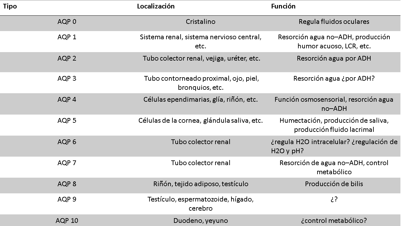 Tipos, localización, función. Acuaporinas. Clasificación de las acuaporinas.