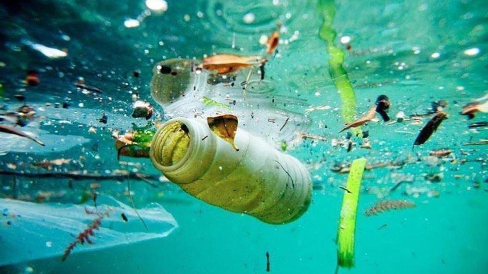 ¿Por qué cuidar los mares?
