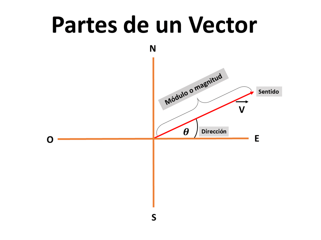 vectores teoría ejemplos y ejercicios resueltos ondas y partículas