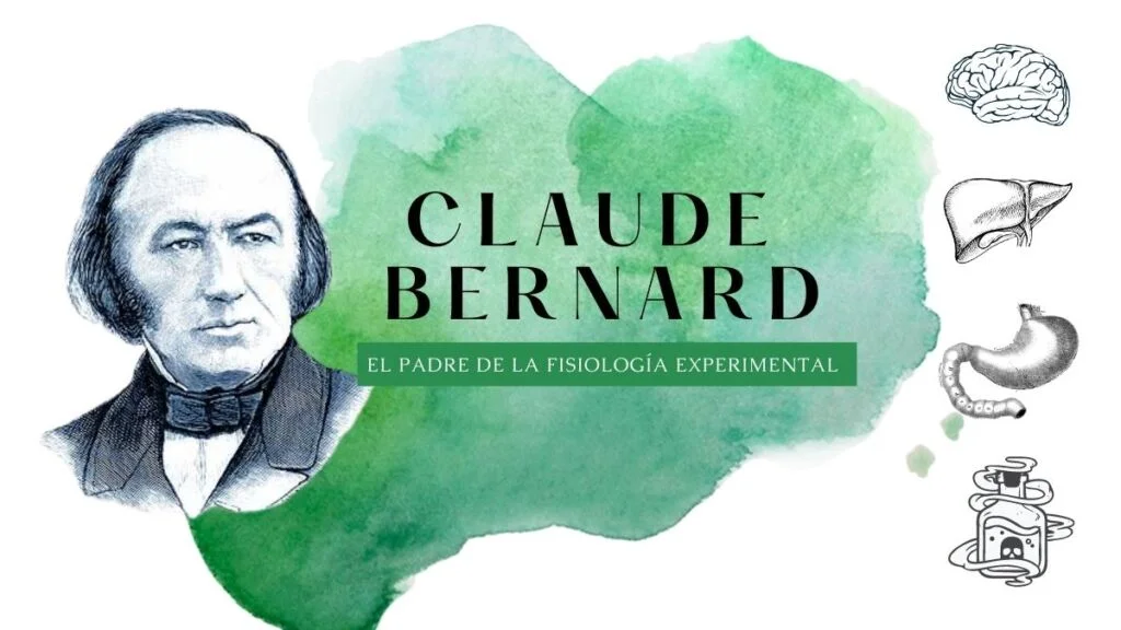 Quién fue Claude Bernard y cuáles fueron sus aportaciones? - Ondas y  Partículas