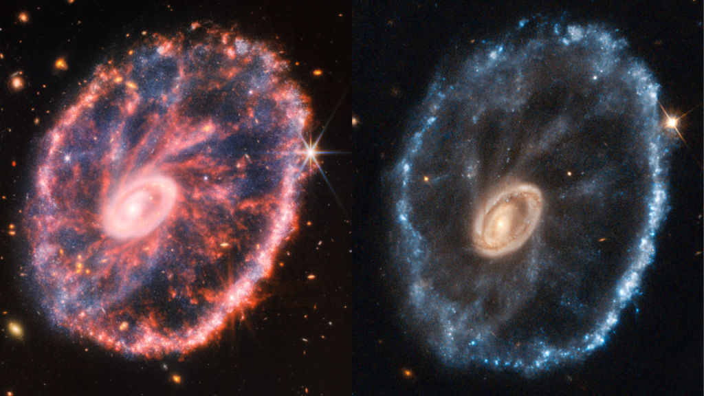 El telescopio James Webb tomó una imagen impresionante de la galaxia Cartwheel