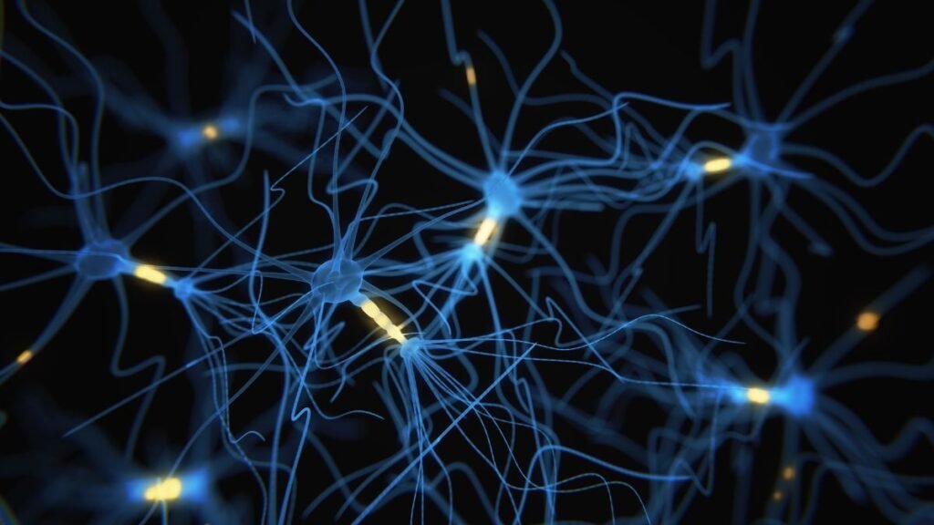 Neuroplasticidad es la capacidad asombrosa que tiene el cerebro de reorganizarse, adaptarse y transformarse a lo largo de la vida. Es como si la mente tejiera nuevos caminos cada vez que aprendemos, sanamos o cambiamos.
